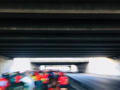 Rocio Frances gonzalez