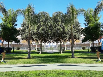 David Piédrola Martinez