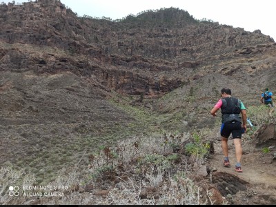 Nesi Dámaso Rodríguez 