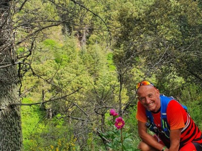 JULIO MANUEL MOLINA CASTELLANO