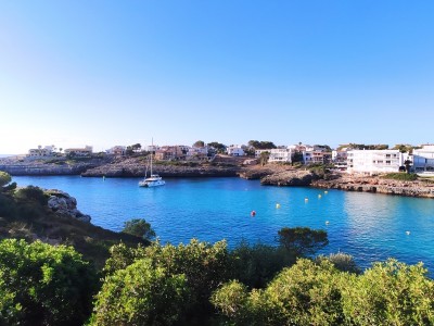 Daniel Muñoz Febrer