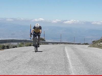 LUIS JAVIER ROCA LÓPEZ