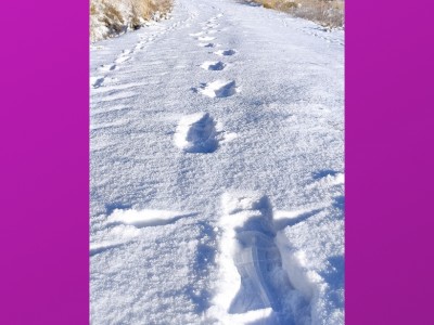 Alberto Gonzalez Nebreda