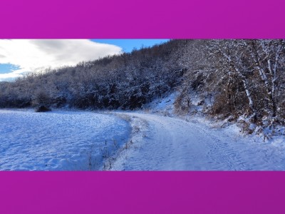 Alberto Gonzalez Nebreda