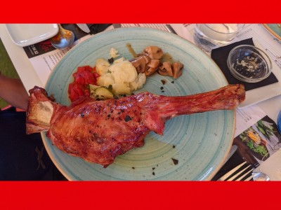 Roberto Delgado Rodríguez