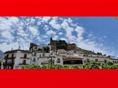 Roberto Delgado Rodríguez