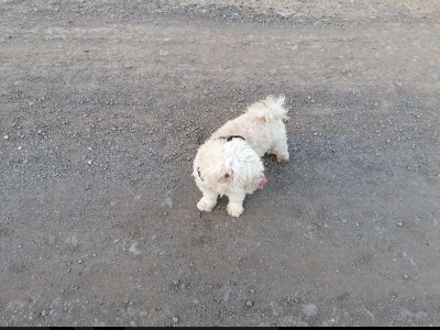 Daniel  Rodriguez  Rodriguez