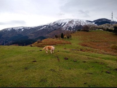 Fernando  Larrauri Olarra 