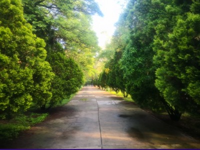 Marco Polo Espinosa Villarreal