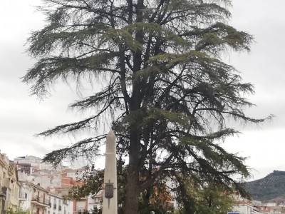 Alejandro  Álvarez Tauste 