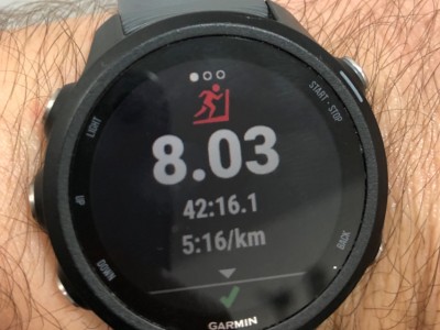 edwin josue  trevino rodriguez 