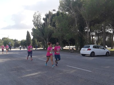 Jorge Vallespir Carmany