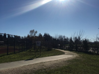 Jorge Fernández Pérez