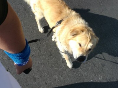 David Nikolai Moreno Robayo