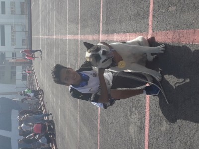 Hugo Gabriel  Gualotuña Gordillo 