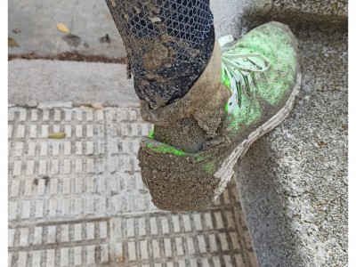 Usuario