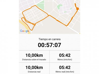 Usuario