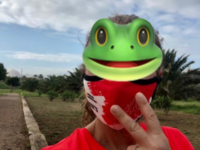 Usuario