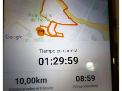 Usuario