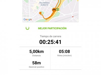 Usuario