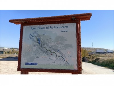 Usuario