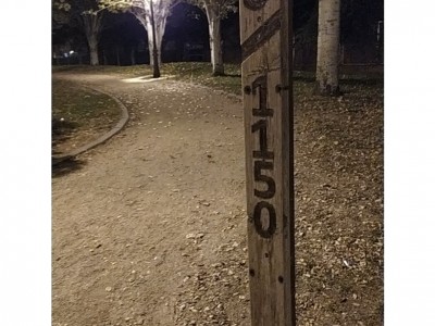 Usuario