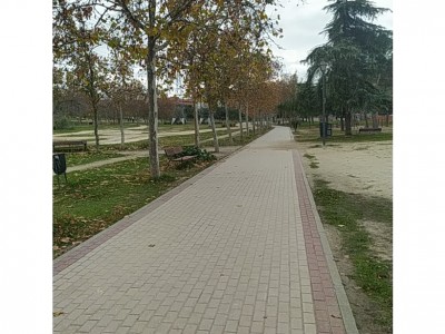 Usuario