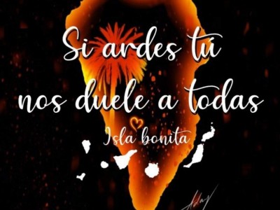 Usuario