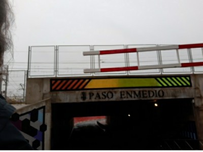 Usuario