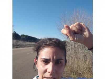 Usuario