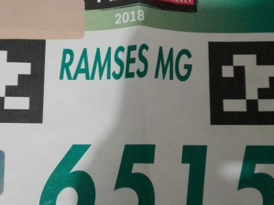 Ramsés Medina González