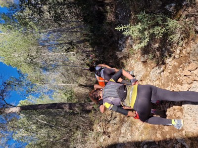 Jose Antonio Jimeno Reus