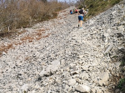 Javier Gutiérrez Díaz