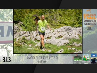 MARIO GUTIERREZ COTELO