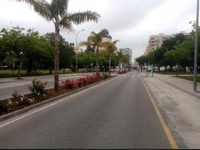 Sagrario  Bou Martinez