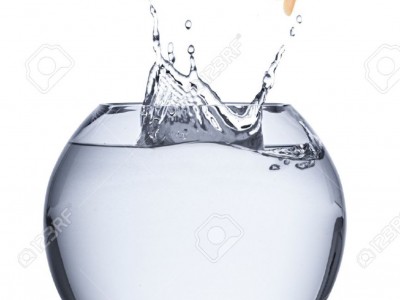 Francisco Martin Ruiz Lavela