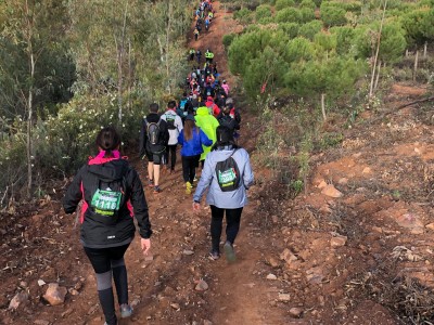 JOSE MANUEL AVILA LLANOS