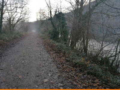 JOSE ANTONIO  GONZALEZ MUÑIZ