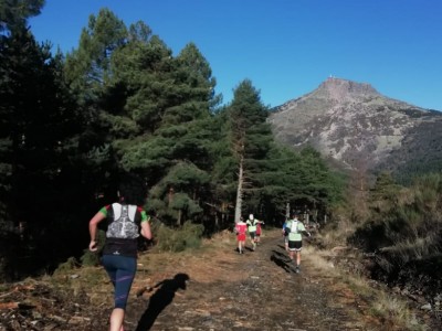 CRISTINA PERNÍA ARIAS