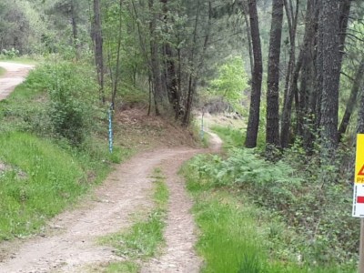 Mario Plasencia Gallego