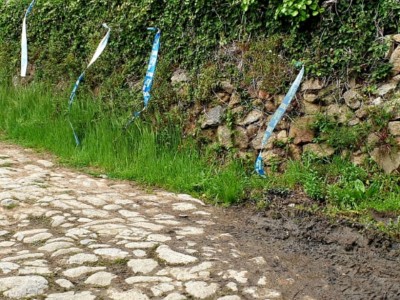 Mario Plasencia Gallego