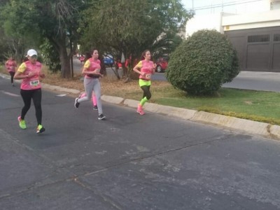 Monica Gutierrez Castillo