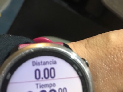 luciana rodriguez sifuentes