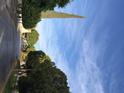 benjamin navarro sada