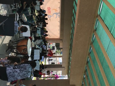 benjamin navarro sada