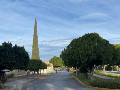 benjamin navarro sada