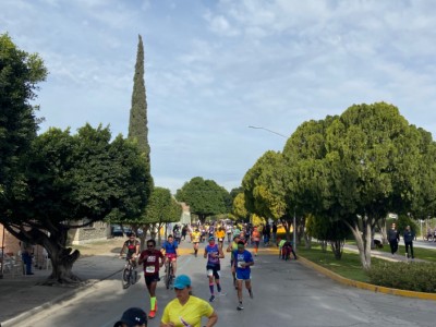 benjamin navarro sada