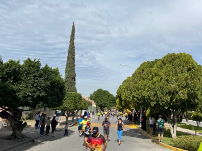 benjamin navarro sada