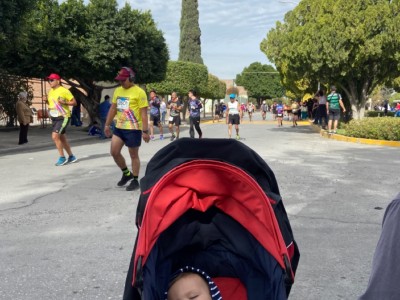 benjamin navarro sada