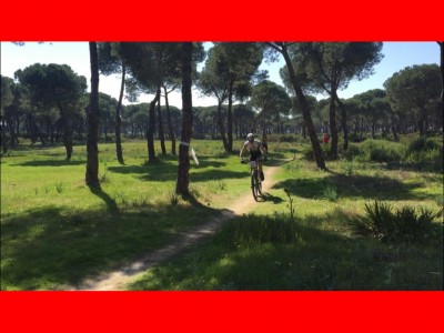 Daniel Jiménez Vergara